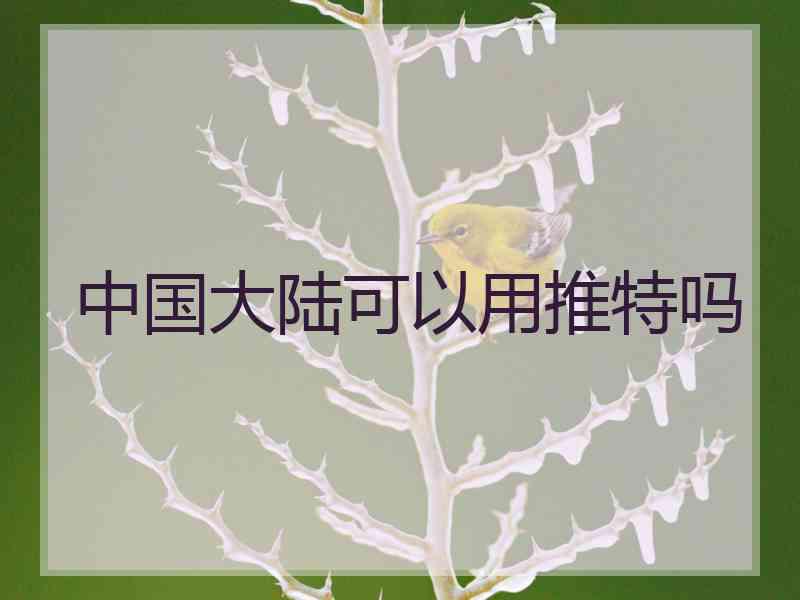 中国大陆可以用推特吗