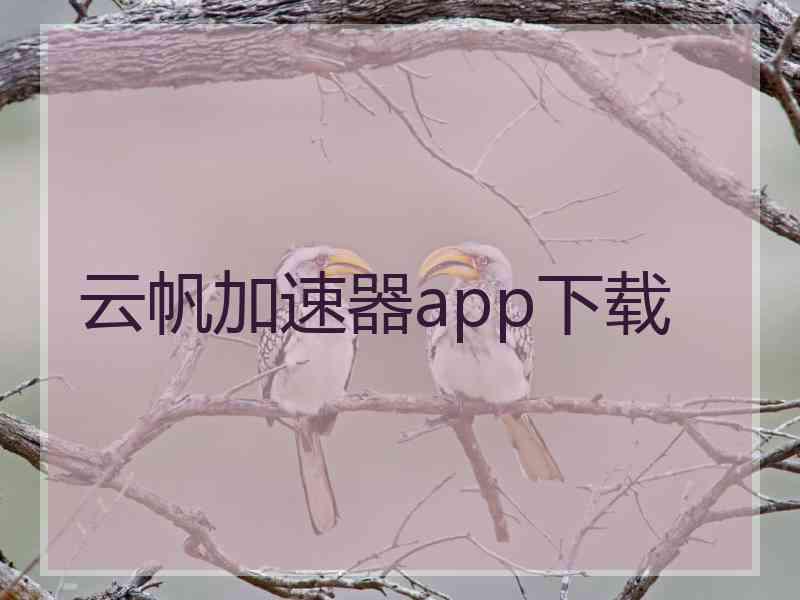 云帆加速器app下载
