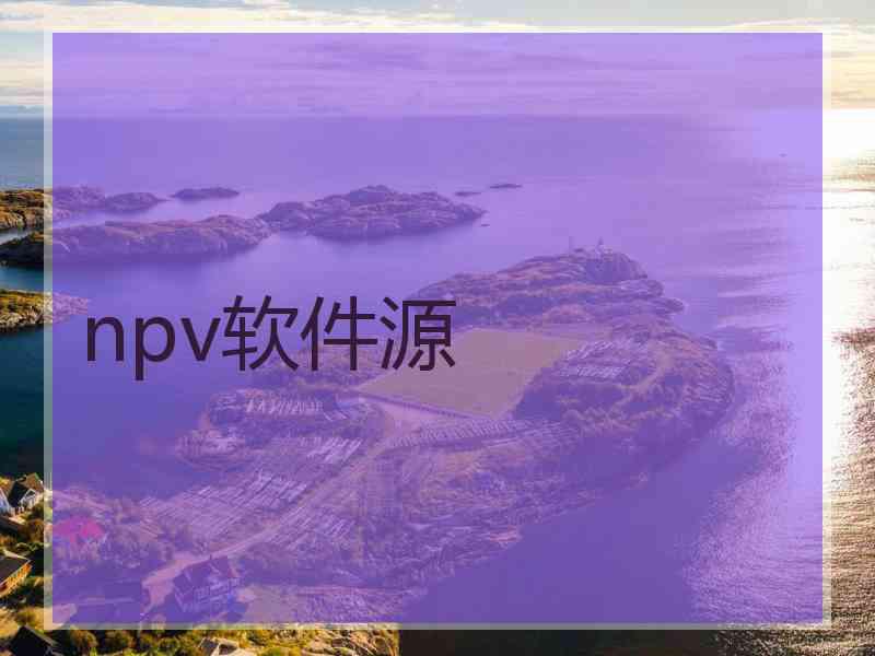 npv软件源