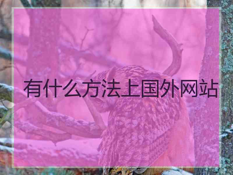 有什么方法上国外网站