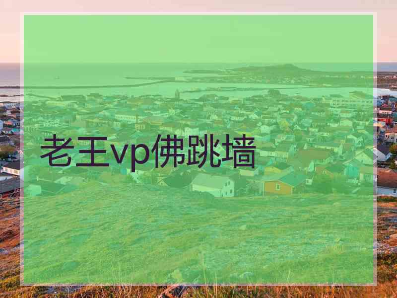 老王vp佛跳墙