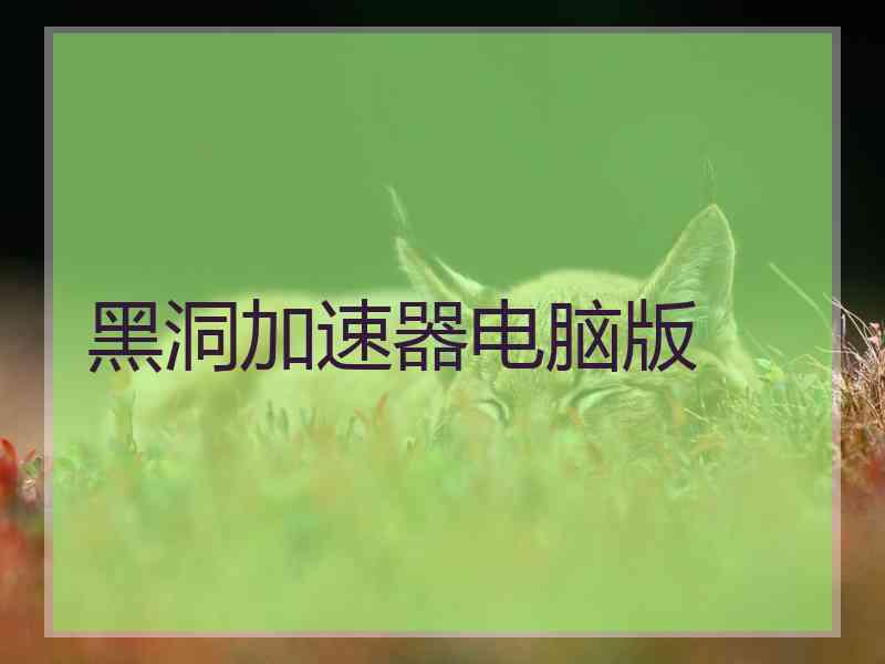 黑洞加速器电脑版