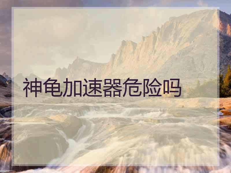 神龟加速器危险吗