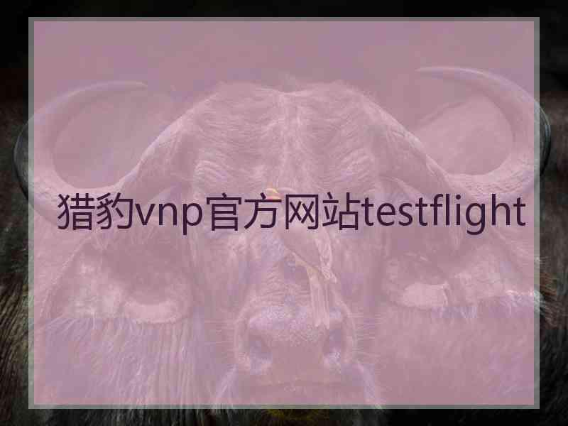 猎豹vnp官方网站testflight