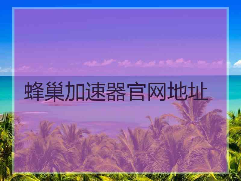 蜂巢加速器官网地址