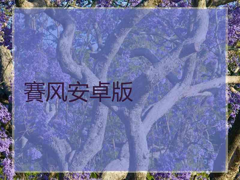 賽风安卓版