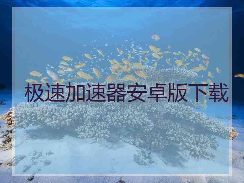 极速加速器安卓版下载