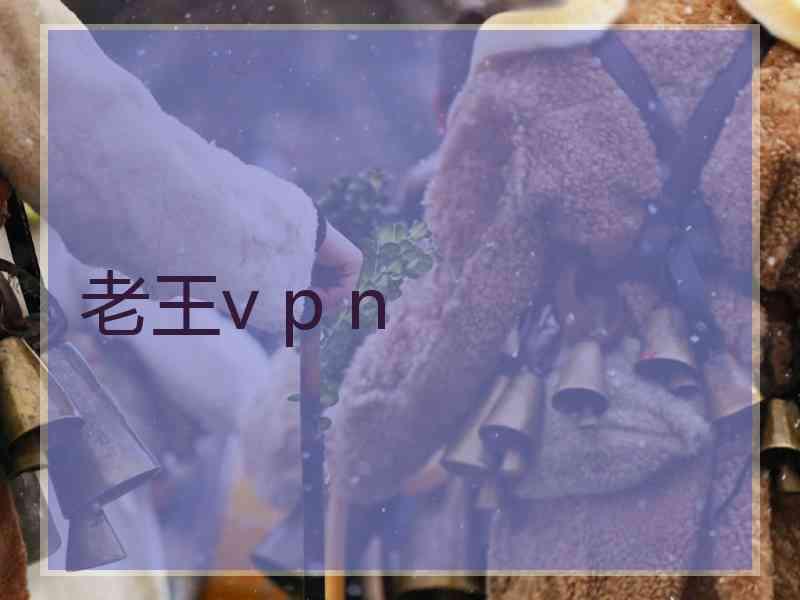 老王v p n