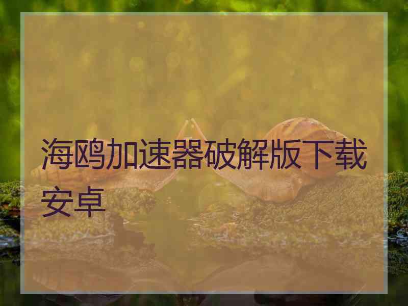 海鸥加速器破解版下载安卓
