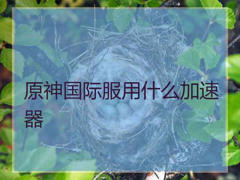 原神国际服用什么加速器
