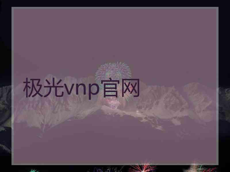 极光vnp官网