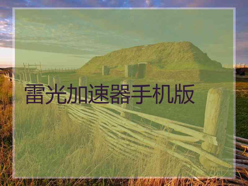 雷光加速器手机版