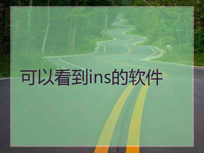 可以看到ins的软件
