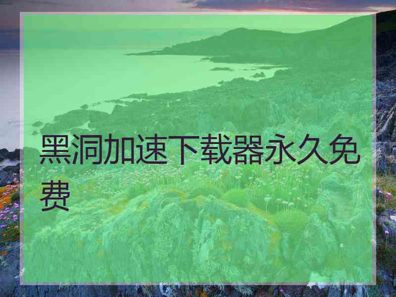 黑洞加速下载器永久免费