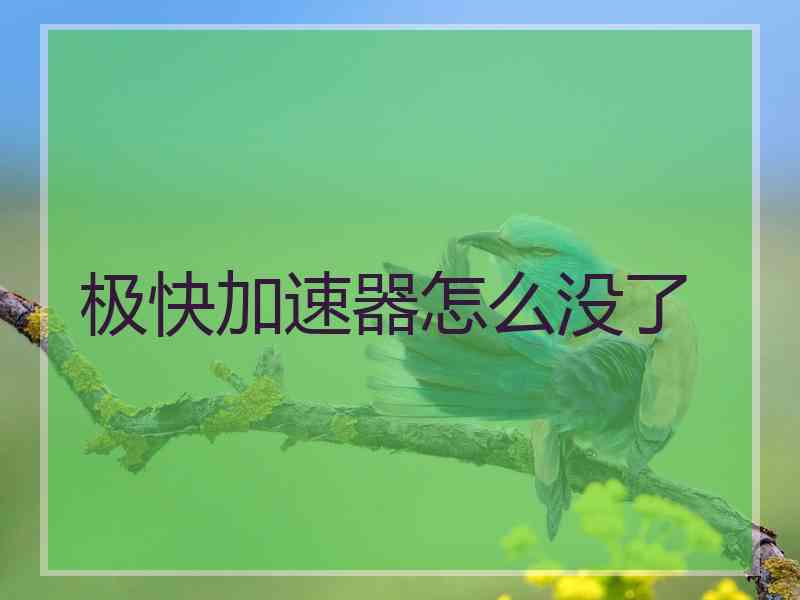 极快加速器怎么没了