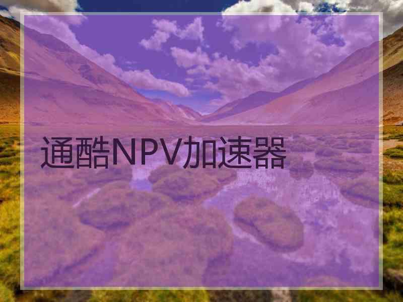 通酷NPV加速器
