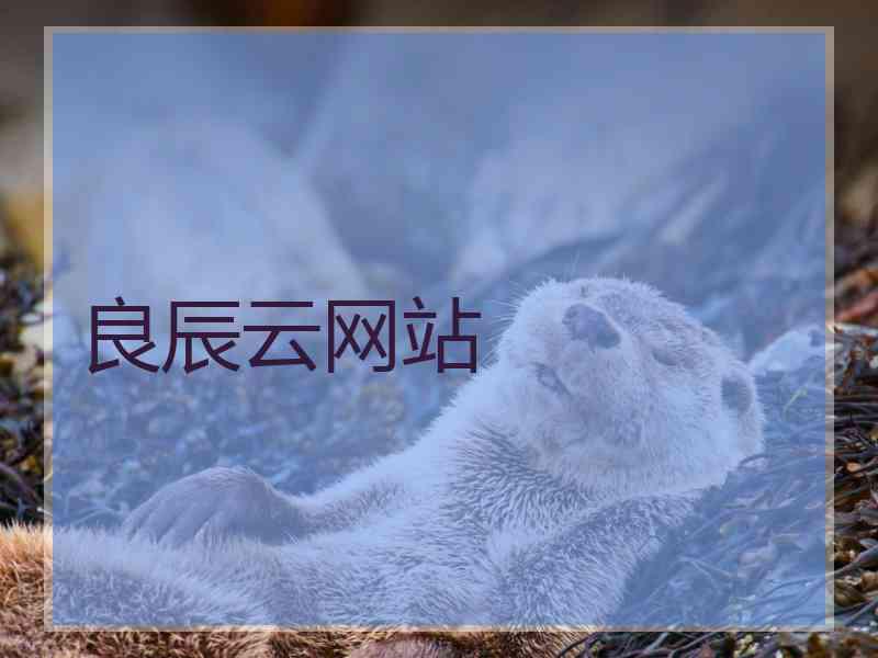 良辰云网站
