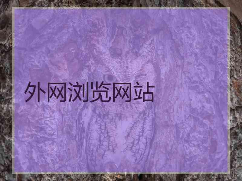 外网浏览网站