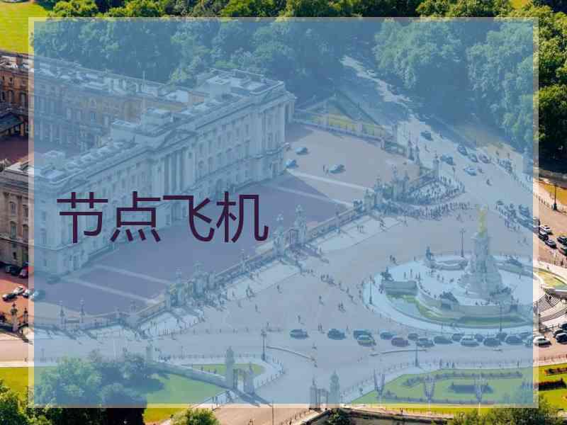 节点飞机