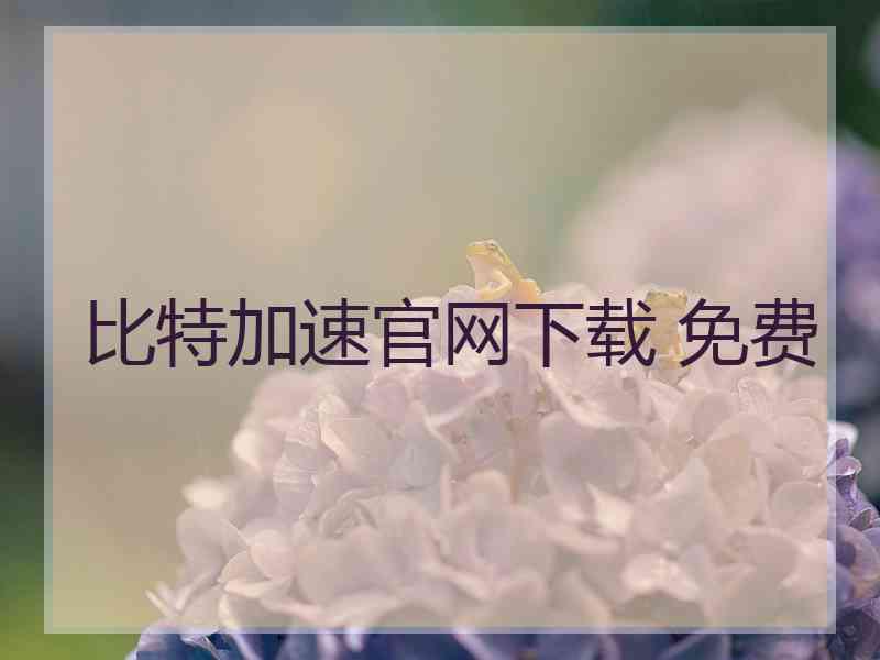 比特加速官网下载 免费