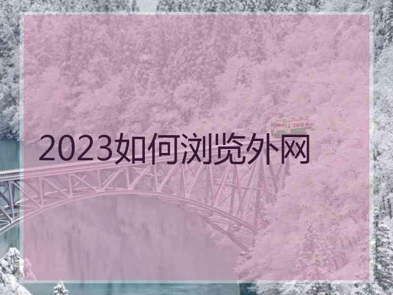 2023如何浏览外网