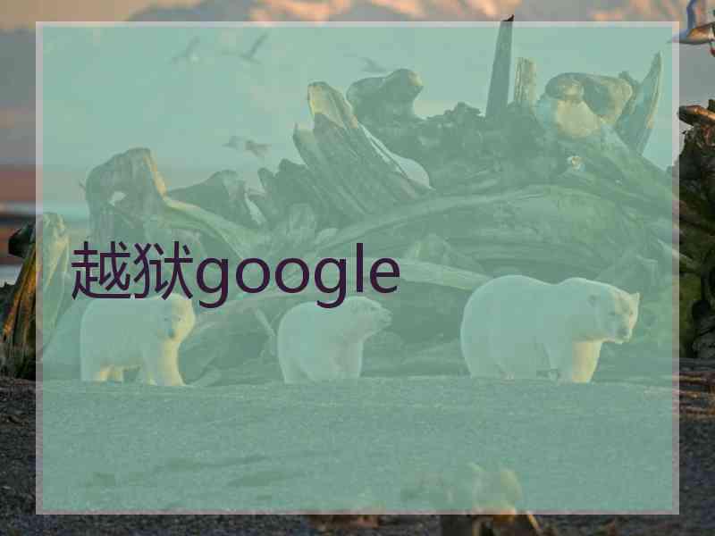 越狱google