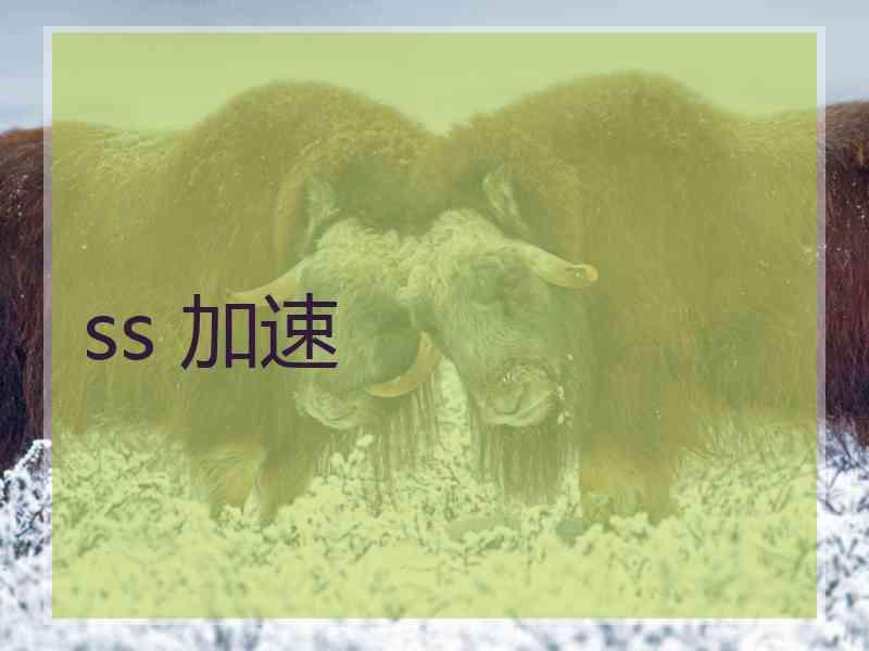 ss 加速