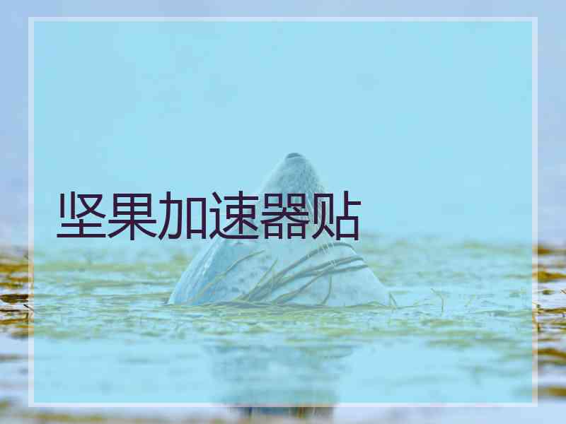 坚果加速器贴