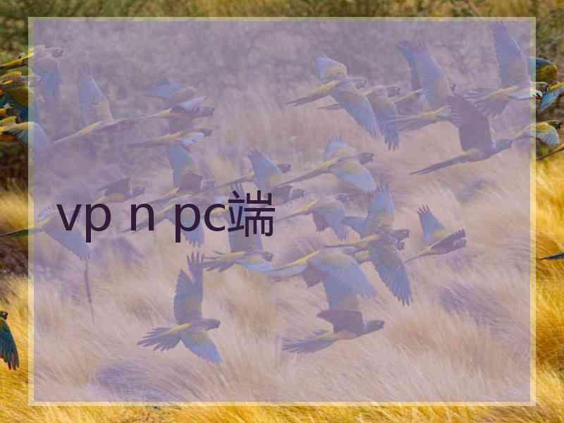 vp n pc端