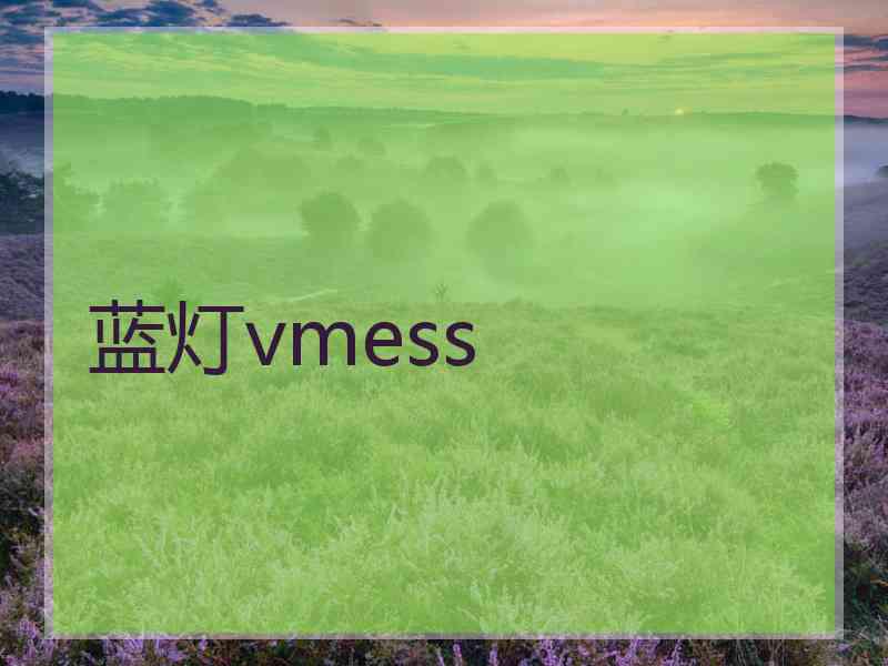 蓝灯vmess