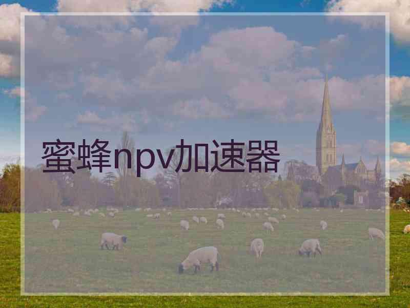 蜜蜂npv加速器