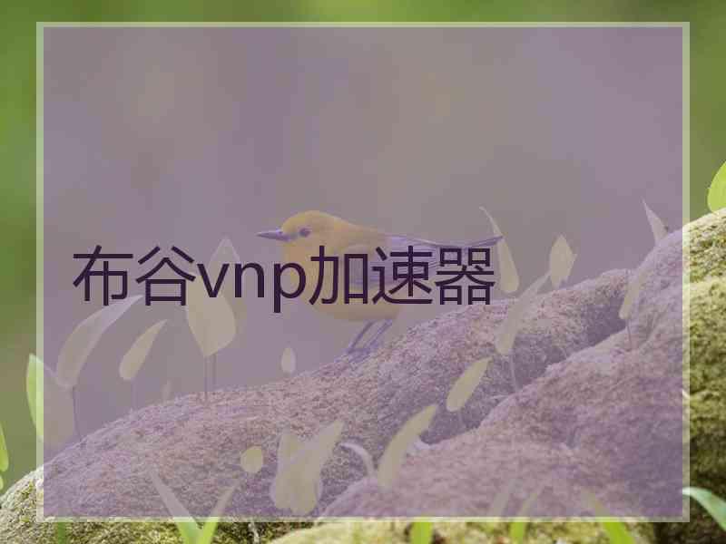 布谷vnp加速器