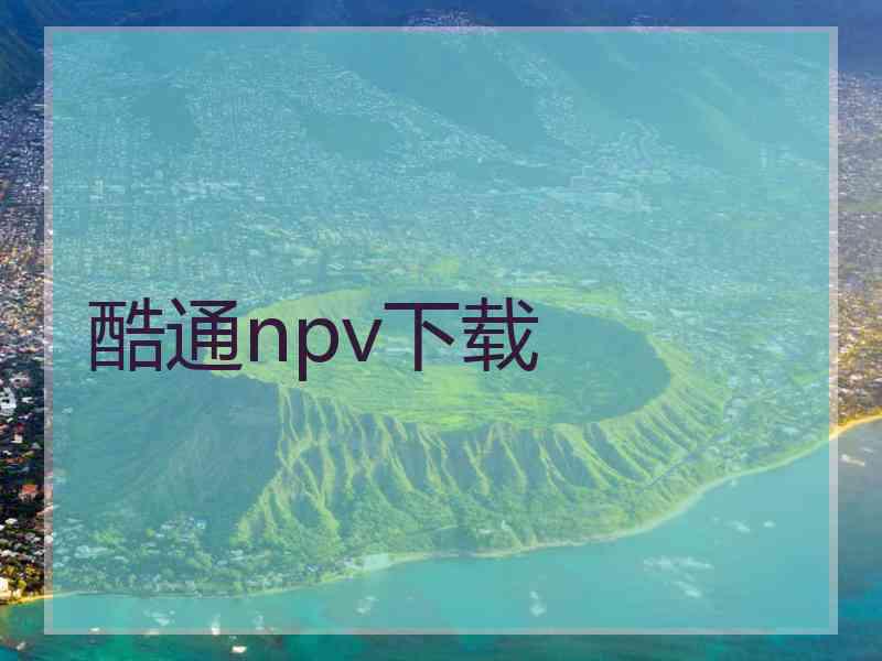 酷通npv下载