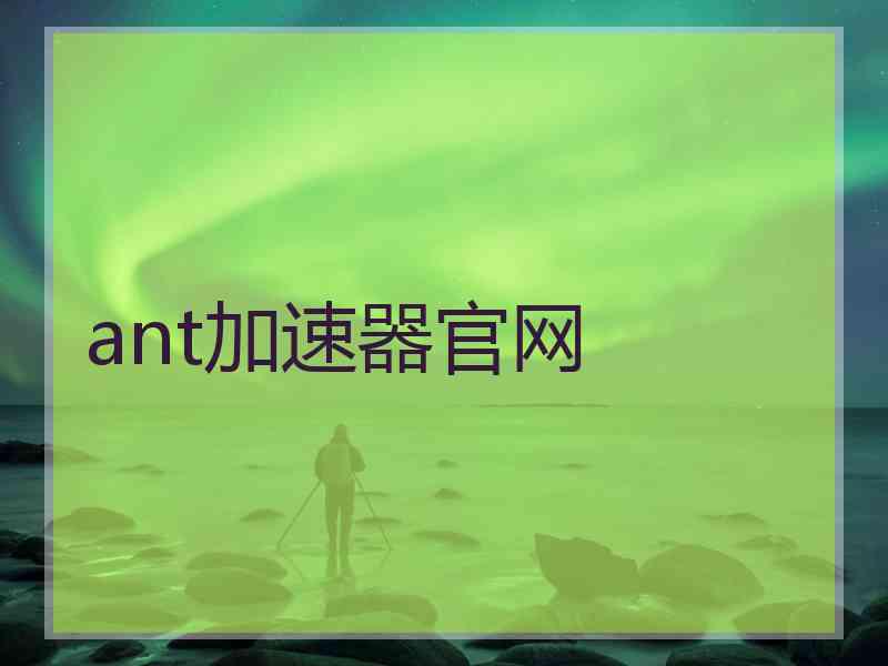 ant加速器官网