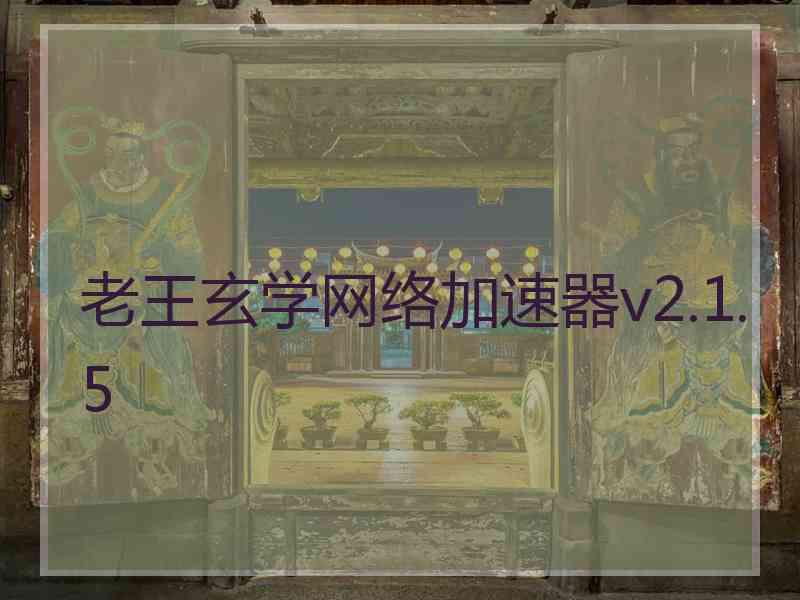 老王玄学网络加速器v2.1.5