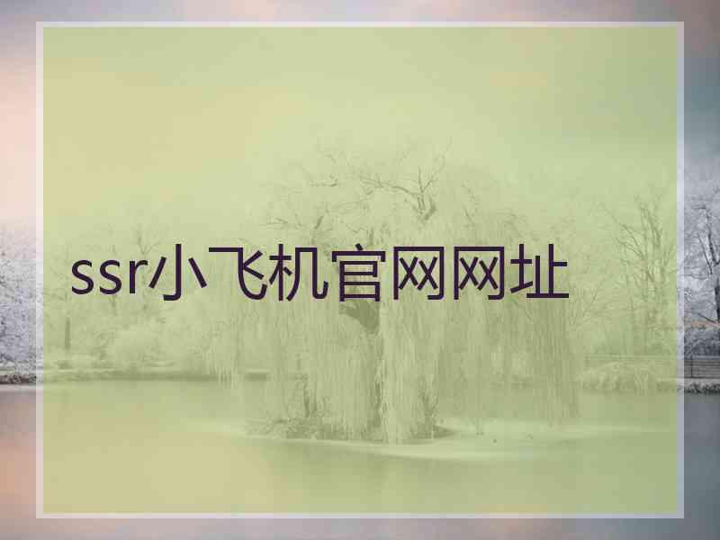 ssr小飞机官网网址