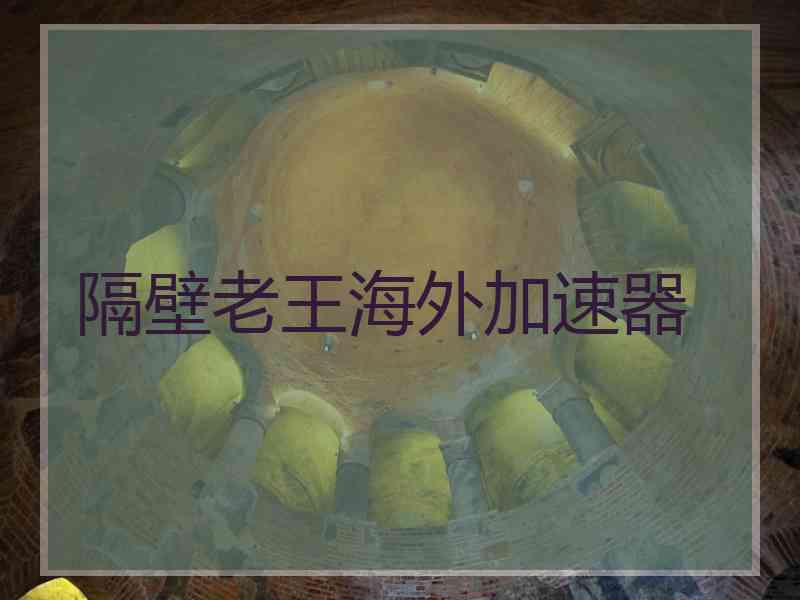 隔壁老王海外加速器
