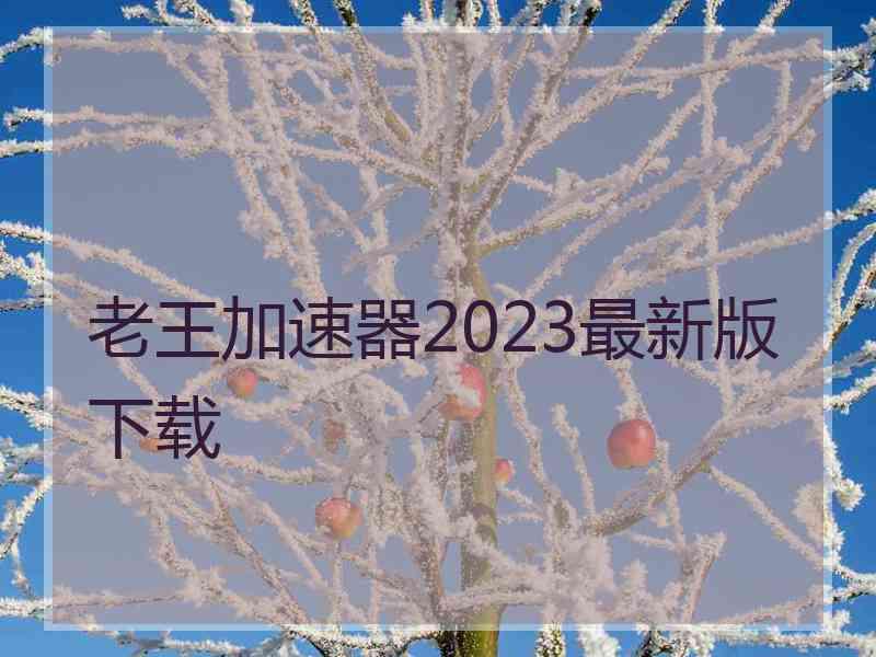 老王加速器2023最新版下载