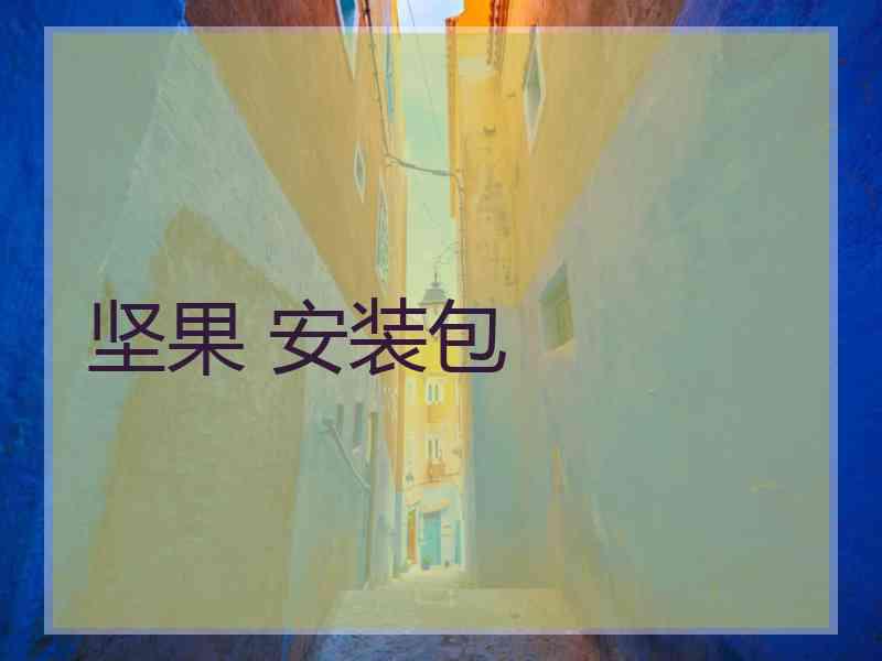 坚果 安装包