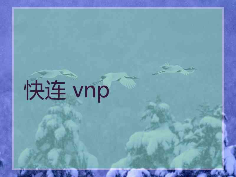快连 vnp