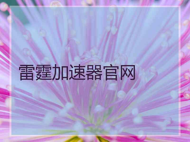 雷霆加速器官网