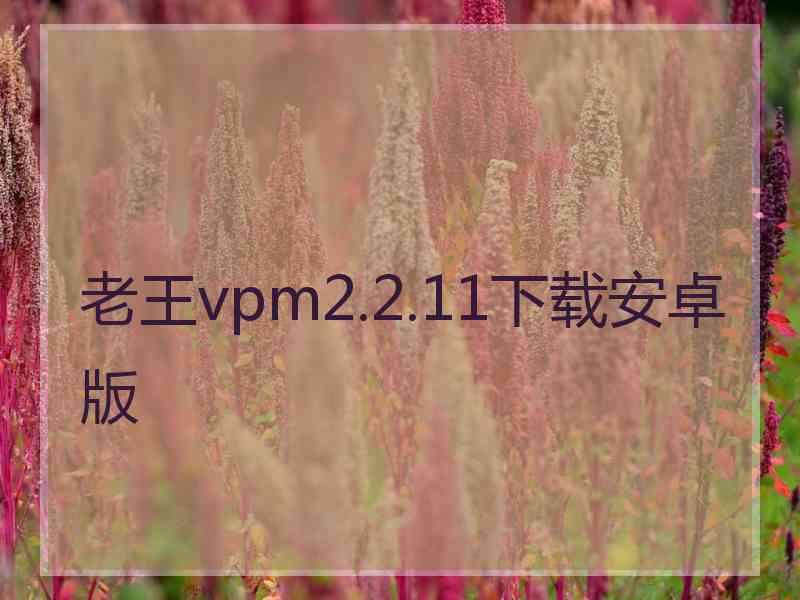 老王vpm2.2.11下载安卓版