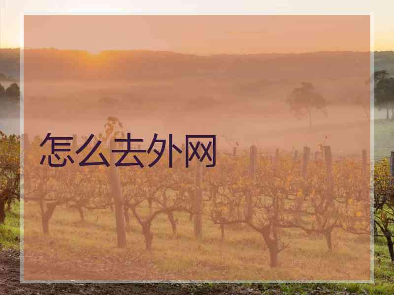 怎么去外网