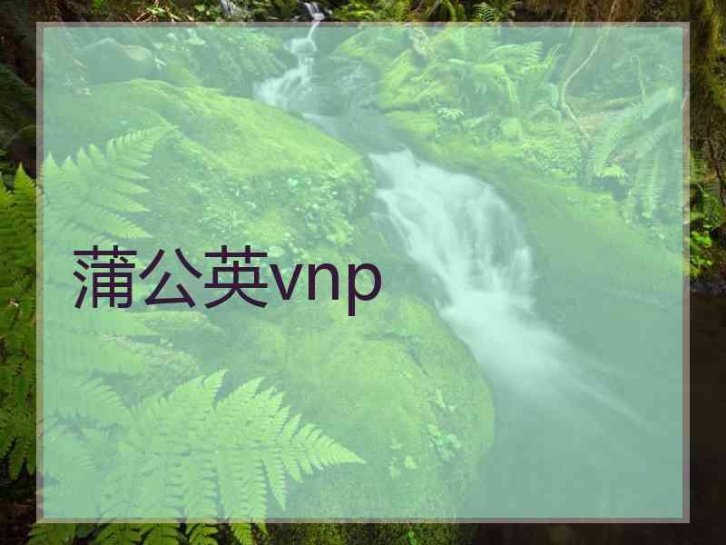 蒲公英vnp