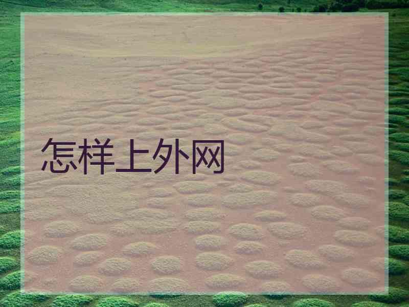 怎样上外网