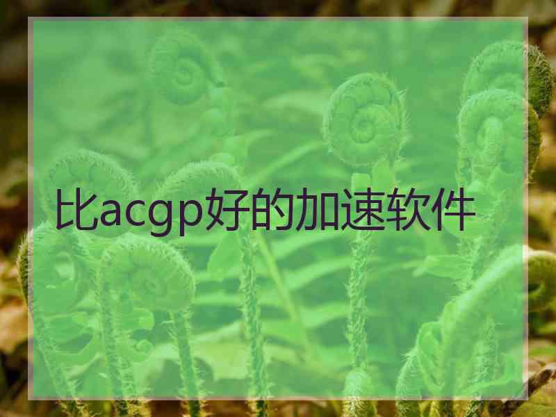 比acgp好的加速软件