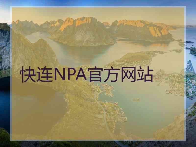 快连NPA官方网站