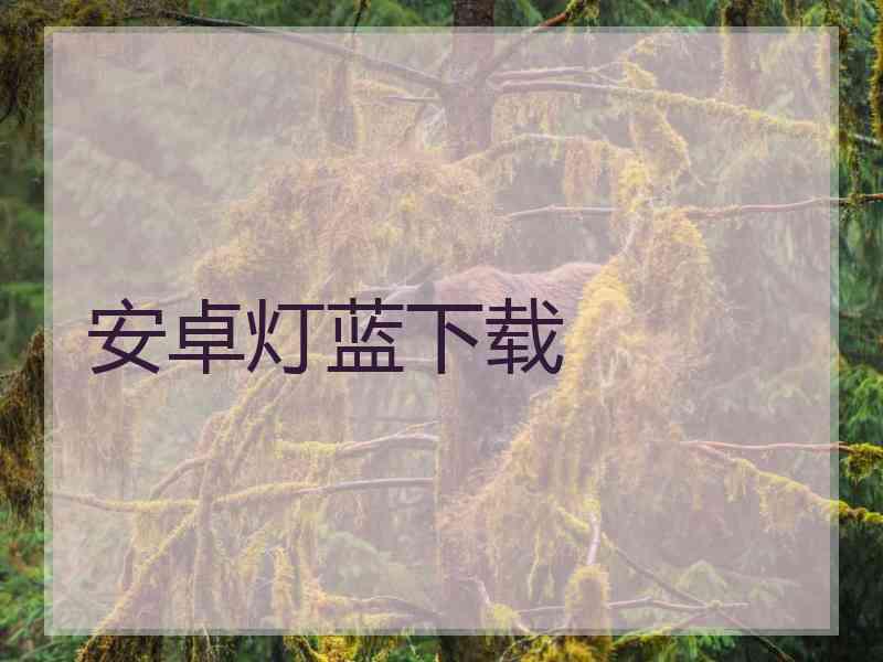 安卓灯蓝下载
