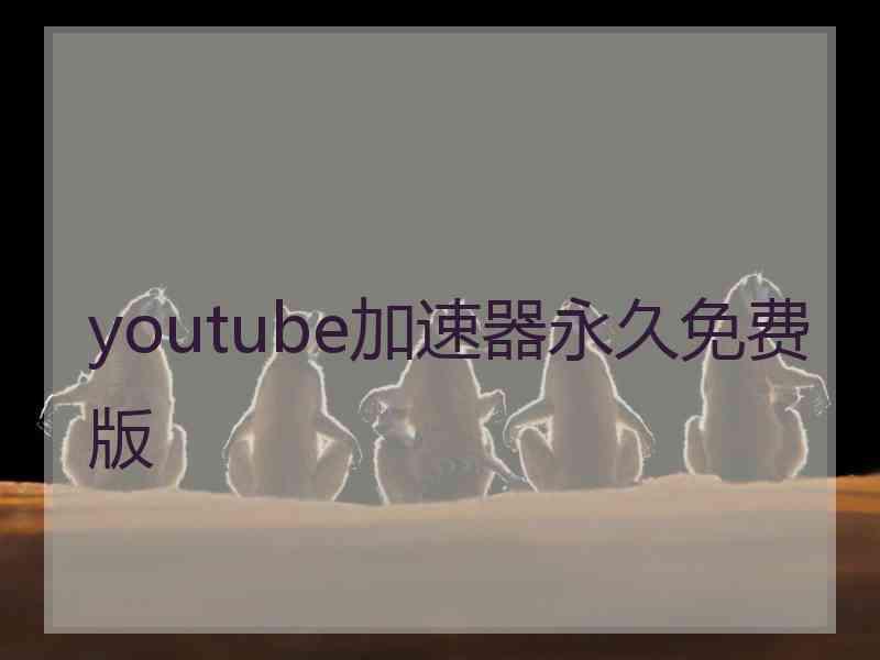 youtube加速器永久免费版