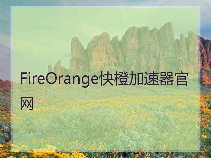 FireOrange快橙加速器官网